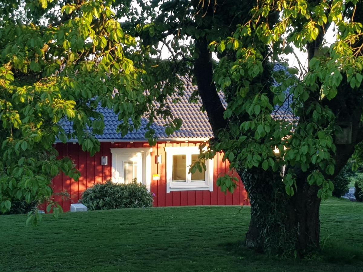 Ferienhaus Löh Kleinmaischeid Exterior foto
